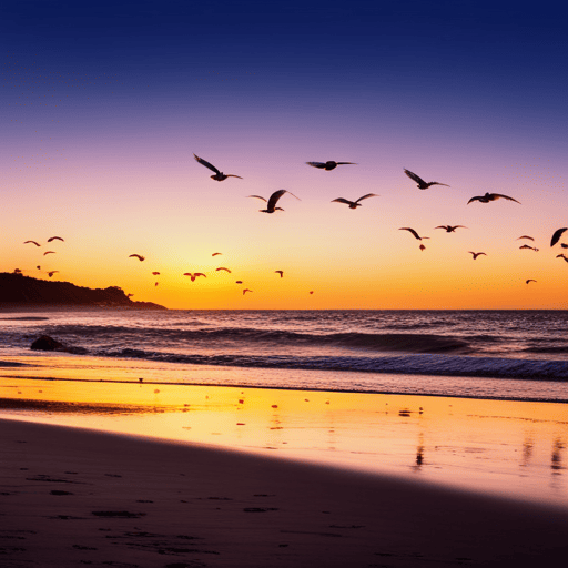 An image showcasing a serene, sunset beach with nine seagulls soaring overhead, each displaying distinct wingspans and patterns, symbolizing the diverse personality traits associated with Birth Number 9 in Numerology
